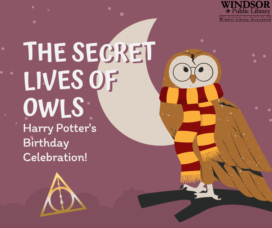 Secret Lives of Owls