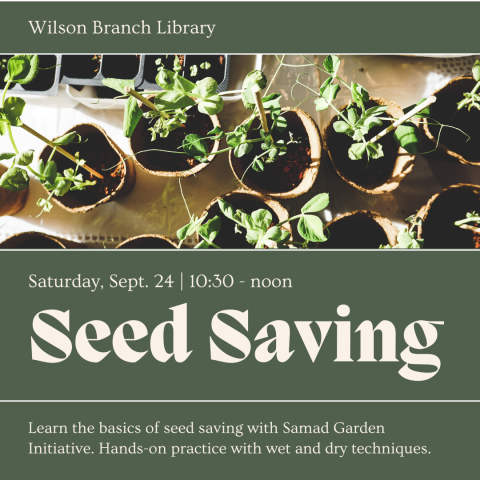 picture of seedlings with text that reads "Seed Saving"