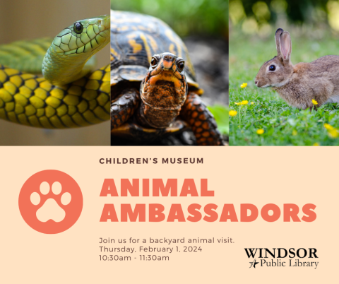 Animal Ambassadors