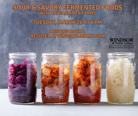 sour and savory fermented food