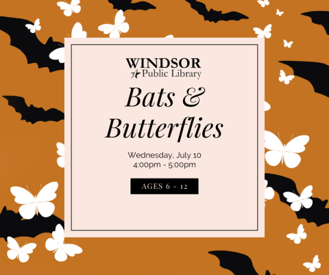 bats and butterflies program