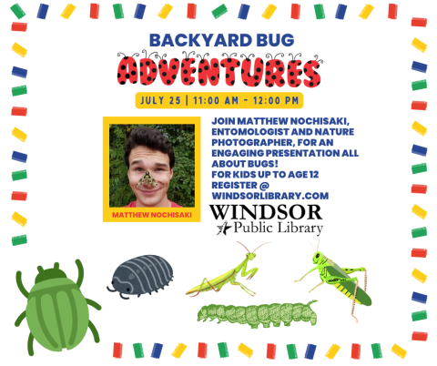 Backyard Bug Adventures