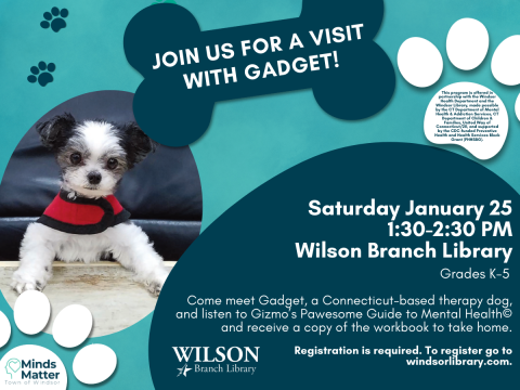 Visit with Gadget a small therapy dog