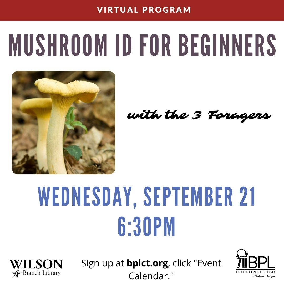 text that reads mushroom ID for beginners with the three foragers, wednesday, September 21 at 6:30 PM with square image of three yellow flat top mushrooms