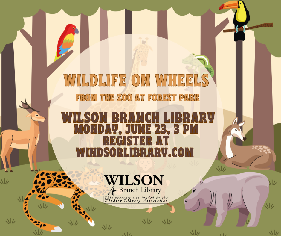 cartoon wild animals