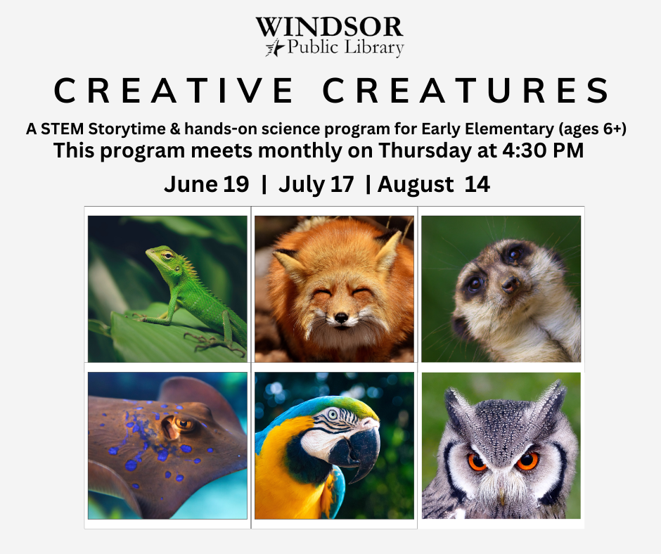 Creative Creatures Stem program